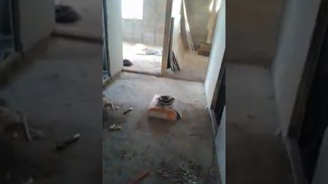 как построить дом из опилкобетона смотреть онлайн