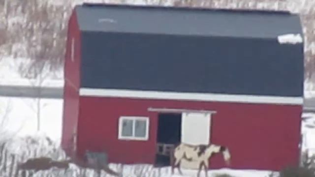 Canon powershot SX410 IS Zoom test 3 смотреть онлайн