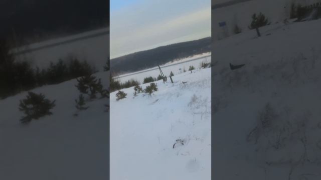 24 января 2024 г. смотреть онлайн