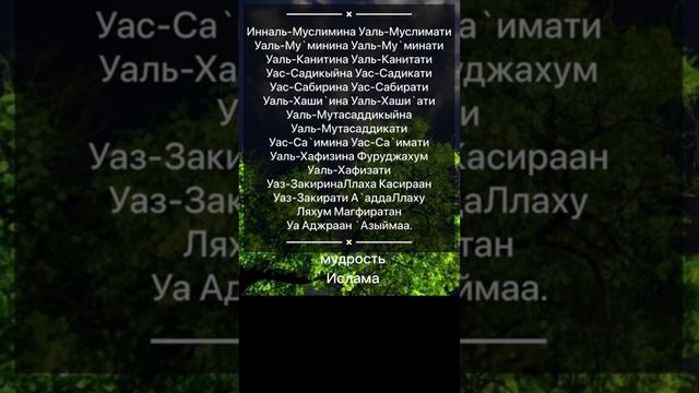 для заучивания смотреть онлайн