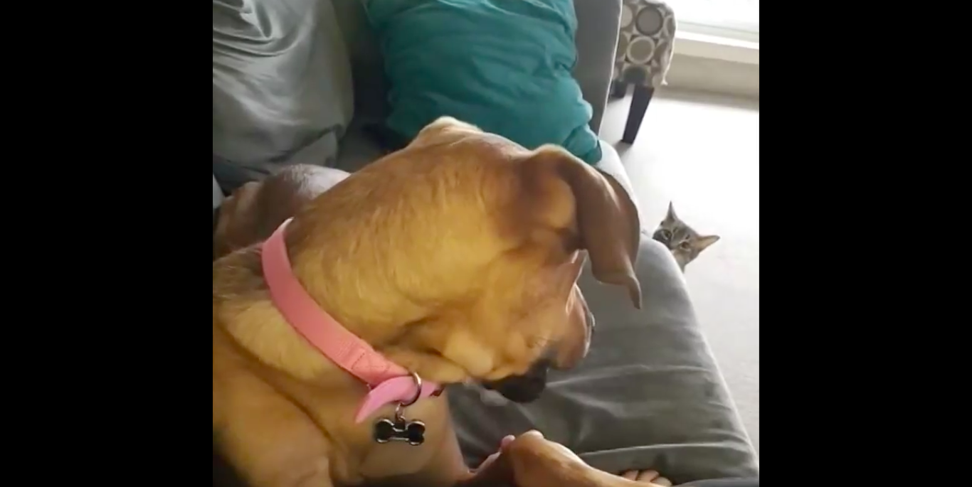 вечное противостояние смотреть онлайн