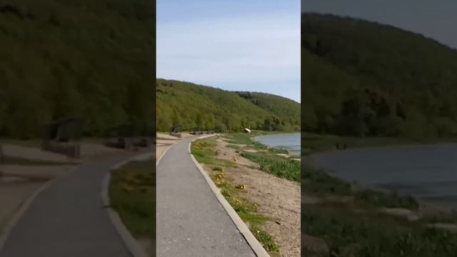 Орёл Белохвостый #орел смотреть онлайн