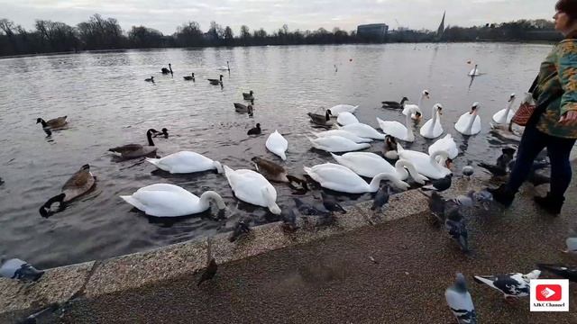 4K - LONDON WINTER WALK in KENSINGTON GARDENS Incl. Round Pond and South Flower Walk | Jan.2021 смотреть онлайн