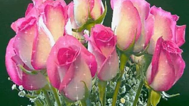 Pink beautiful roses смотреть онлайн