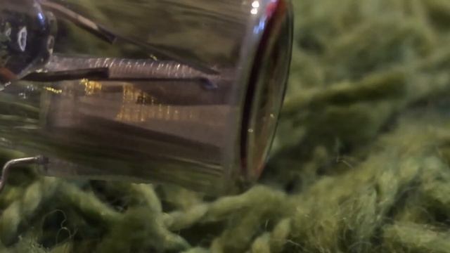 Fluorescent Starter Close-Up | Neon