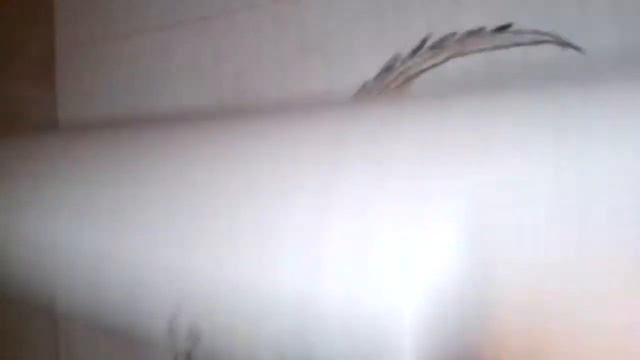 \\МАИ РИСУНКИ ДРАКОНОВ// смотреть онлайн