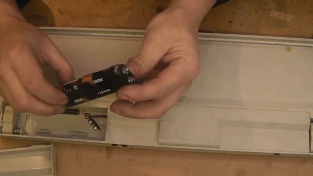 A Bunch Of Apricots Pt1 Apricot F2 1st Look Over