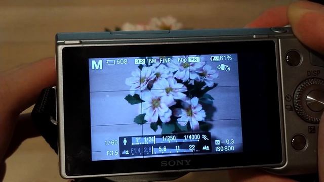 The Sony NEX-5N, 10 Years Later. смотреть онлайн