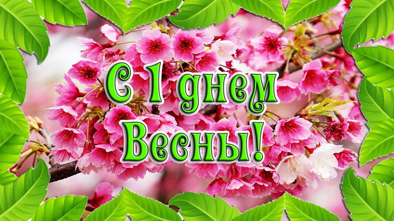 С 1 днем весны! Красивое поздравление и веселая песня смотреть онлайн