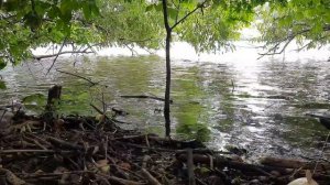 Трофейная рыбалка на карпа в штормовых условиях.