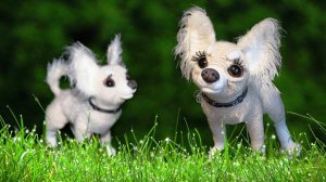 Мастер-класс Чихуахуа крючком (видео МК)-4 часть