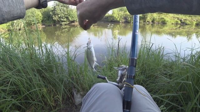 Рыбалка на поплавок на реке с течением, Ловля на удочку с поплавком в проводку. Поклёвки крупным… смотреть онлайн