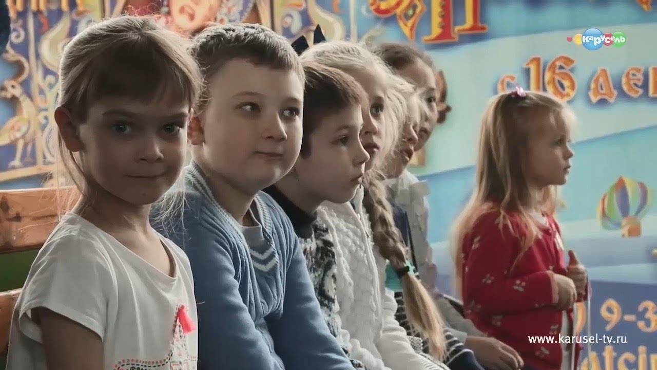 Телеканал Карусель. Сюжет об экскурсиях в цирке в программе 'Навигатор. Новости' смотреть онлайн