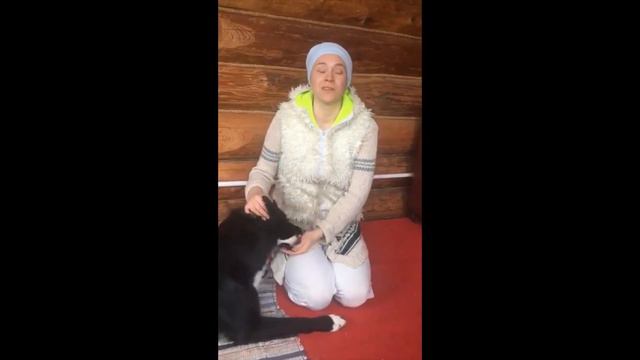 Отзыв от Глафиры и Эрни, 10-ый поток курса "Собака: инструкция по применению" смотреть онлайн