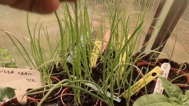 🎬 179- PREPARING RAISED BEDS for GROWING Vegetables смотреть онлайн