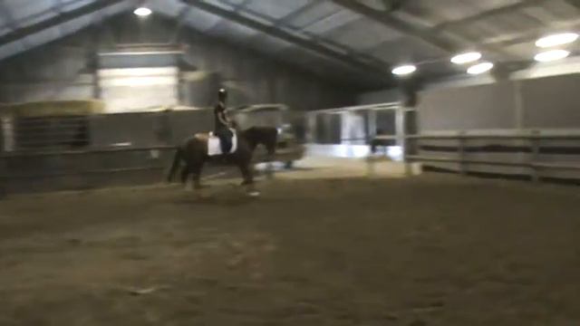 Icarus CHarmeur x Contango 3 смотреть онлайн