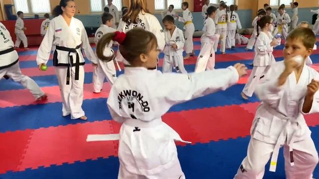 Областной технический семинар 1-2 октября по Тхэквондо МФТ смотреть онлайн