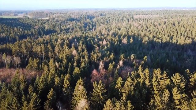 Балансировка вашего Трехлепесткового Пламени смотреть онлайн