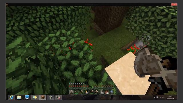 Minecraft- Survival ep.6: Flower picking YAY :D смотреть онлайн