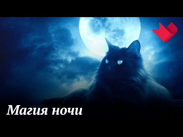 Москва Доверие