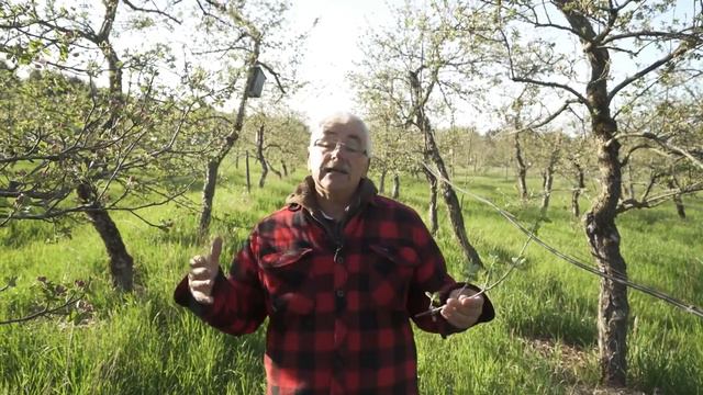 Я НЕНАВИДЕЛ палаточных гусениц! Пока ЭТОГО не случилось смотреть онлайн