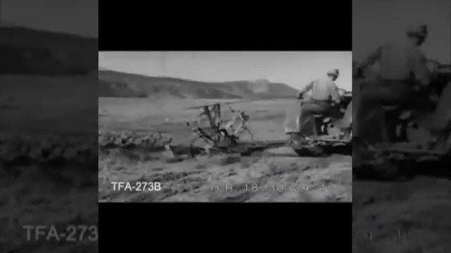 !Бәйдібек Айнұр 11 ДТ№ смотреть онлайн