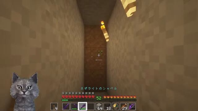 minecraft test (Java Edition 1.18.1+MOD) смотреть онлайн