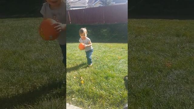 Pumpkin ball play time! смотреть онлайн