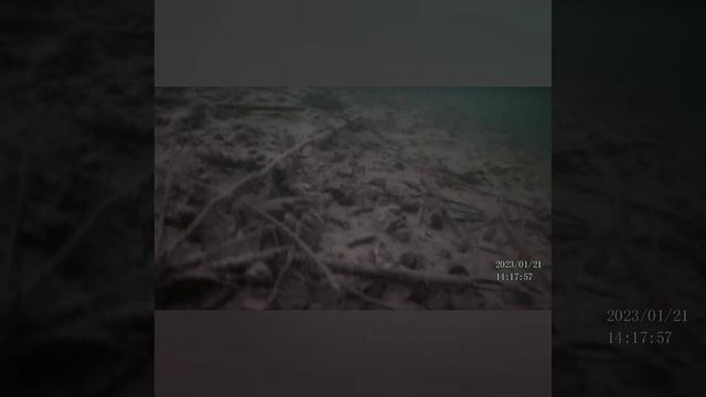 Там где раки зимуют. смотреть онлайн