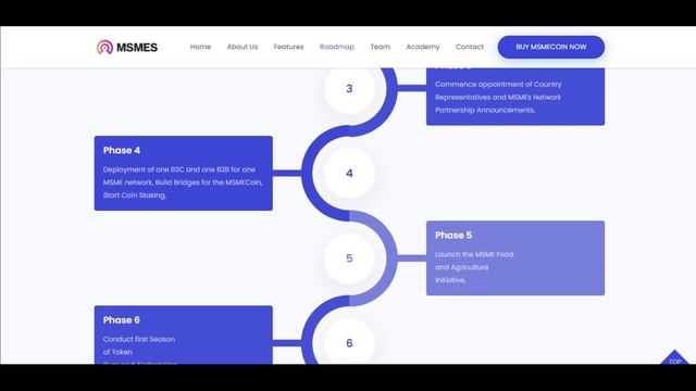 MSMECOIN - Легкий доступ к финансам - Обзор смотреть онлайн