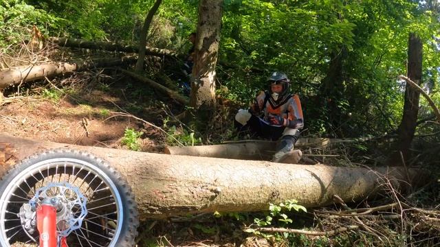 Для чего в HardEnduro нужна точность |  Или как я учился ехать огромные баобабы !