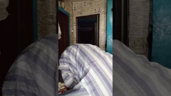 ремонт микроволновки Supra mws-4331