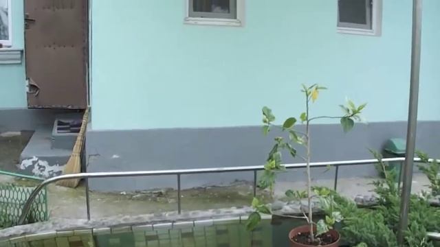 Сверну на Виноградную... смотреть онлайн