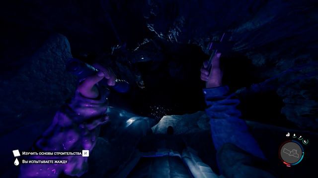 Поездка в лес I Sons of the forest смотреть онлайн