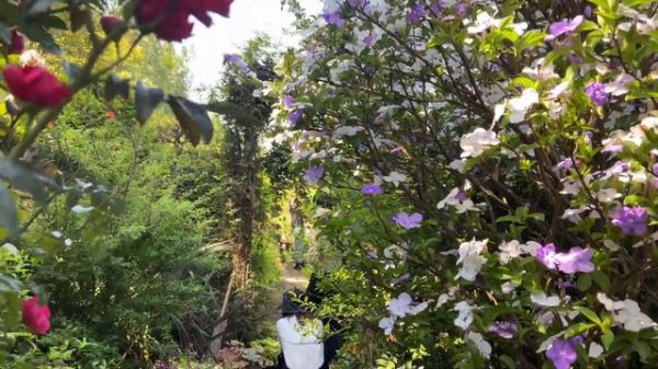 [4K]China walk tour | Walk in Sansheng Flower Market Chengdu | real china city