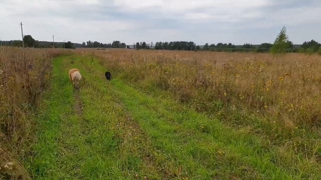 Минус на минус- всегда плюс. смотреть онлайн