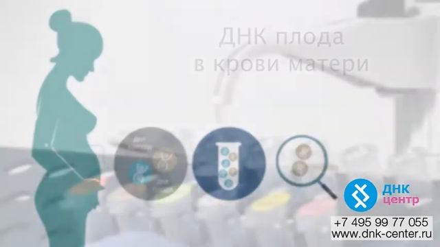 Определение пола по анализу ДНК смотреть онлайн