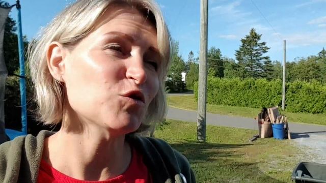 НАШ КАНАДСКИЙ БЫТ :) ДРОВА НА ЗИМУ, СОРТИРОВКА МУСОРА - Saint John - New Brunswick - КАНАДА смотреть онлайн