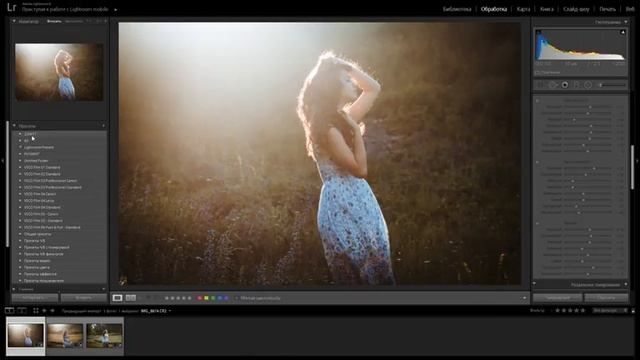 Пакетная обработка в Lightroom смотреть онлайн