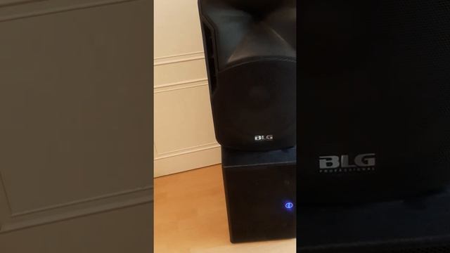 BLG BP14-15A8 / INVOTONE DSX12SA смотреть онлайн