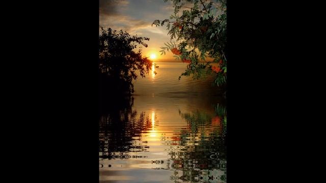 Ну почему итог такой печальный? читает Н.Черноусова, стихи Г.Пятисотских смотреть онлайн