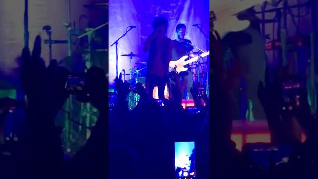 LP Lost On You Live. Fort Lauderdale Music Rights Are From LP (Laura Pergolizzi)