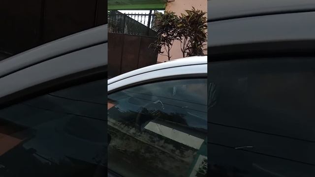 venta toyota yaris 2008, tel 54372563 смотреть онлайн