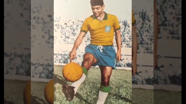 ALCINDO TRIBUTE смотреть онлайн