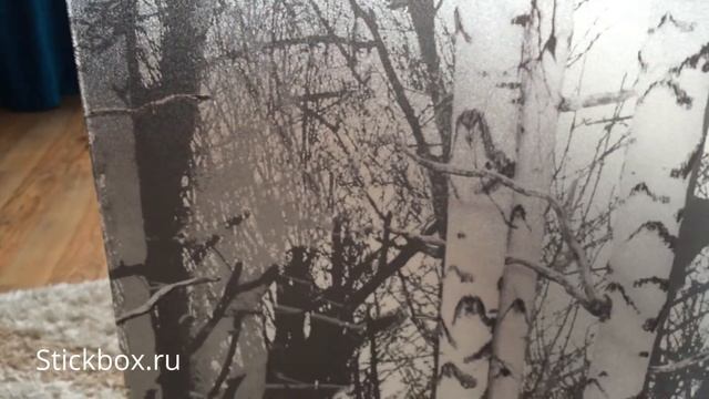 Статическая витражная пленка, d-c-fix Березы, 334-0028 (334-8028) смотреть онлайн