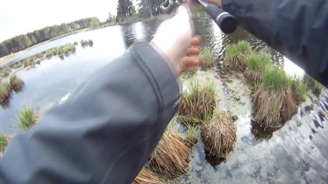 Ловля щуки твичингом мультипликаторной снастью на воблеры Lucky Craft. смотреть онлайн