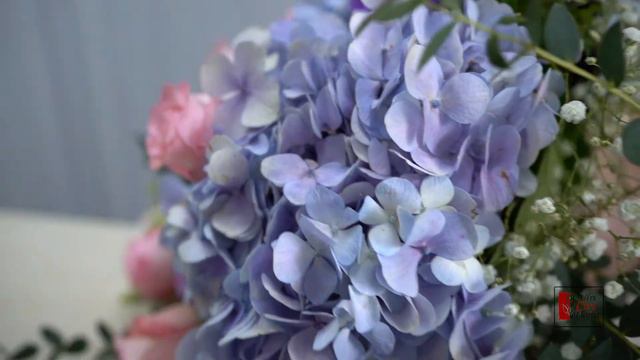 How To Wrap Hydrangea Bouquet With Roses смотреть онлайн
