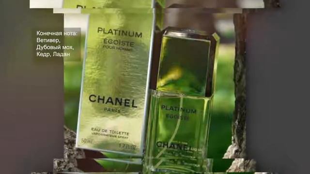 Chanel Egoiste Platinum (Шанель Эгоист Платинум) Отзывы и Описание смотреть онлайн