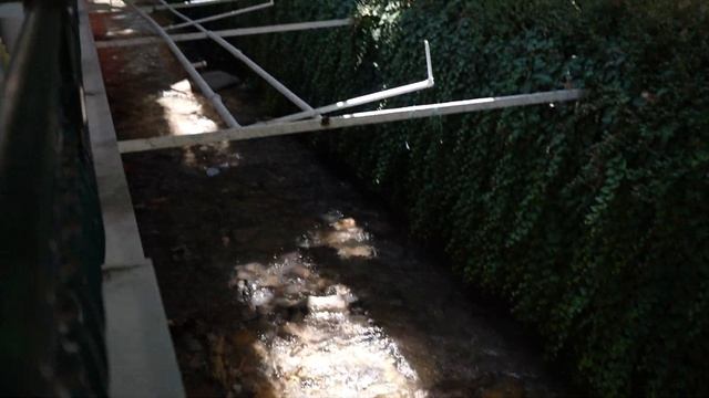 First Impressions of ZAHLE LEBANON ?? смотреть онлайн