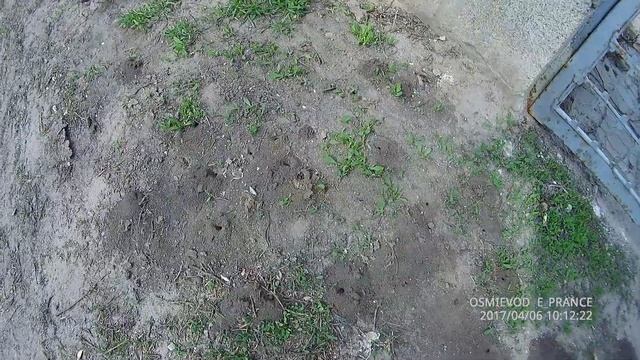 колония земляных пчёл смотреть онлайн